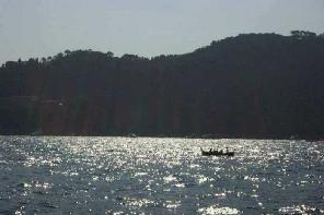 Click the image to view photos in this gallery.